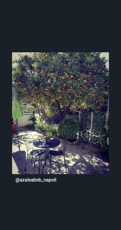Azalea B&B 나폴리 외부 사진